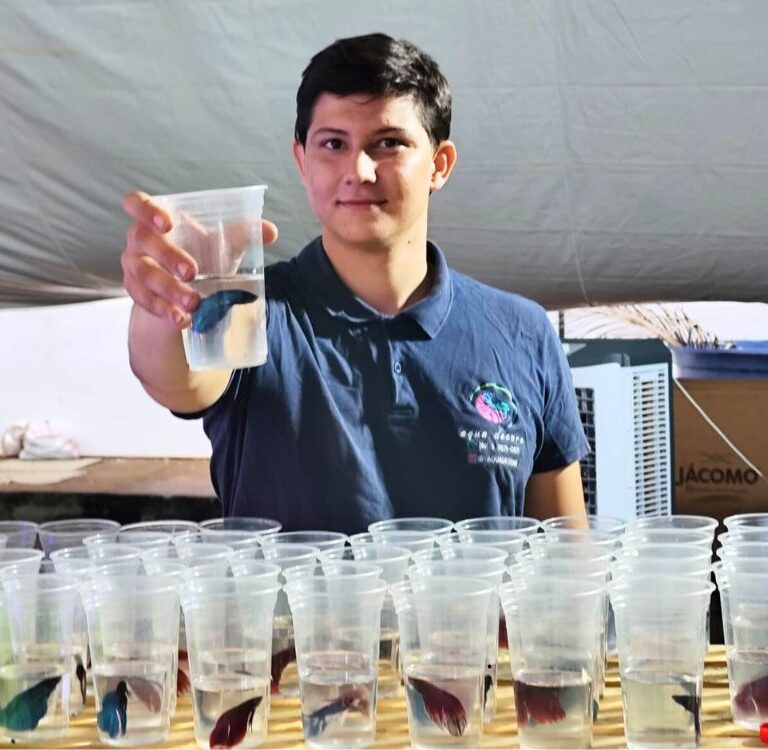 Do fundo da Amazônia ao cinema: Agrotec exibe peixes que encantam inclusive o famoso “Nemo”