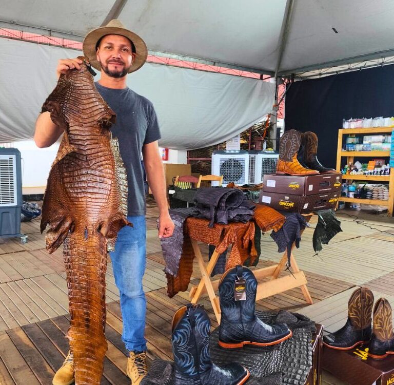 Manejo sustentável impulsiona renda: couro e botas de jacaré chegam a R$ 1.600 na Agrotec