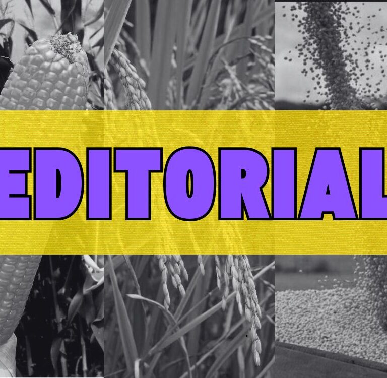 GEAGRÃOS: Um grupo necessário para a nova fronteira agrícola acreana