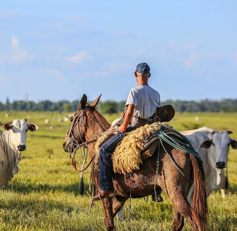 Curso da RA Consultoria busca fortalecer a liderança nas fazendas acreanas: Inscrições em Janeiro