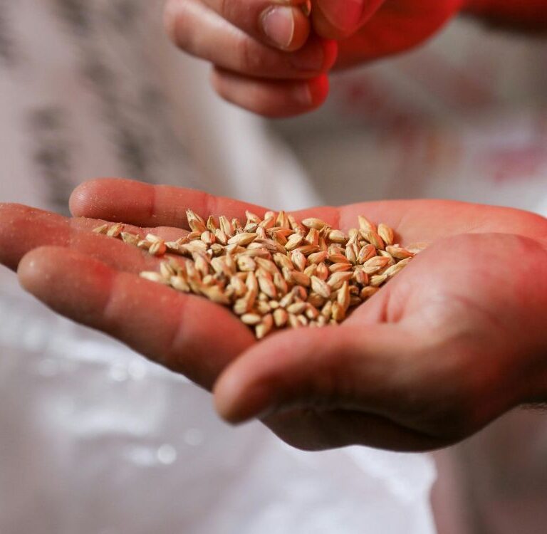 Restauração florestal e novas tecnologias pautam Encontro de Sementes em Cruzeiro do Sul