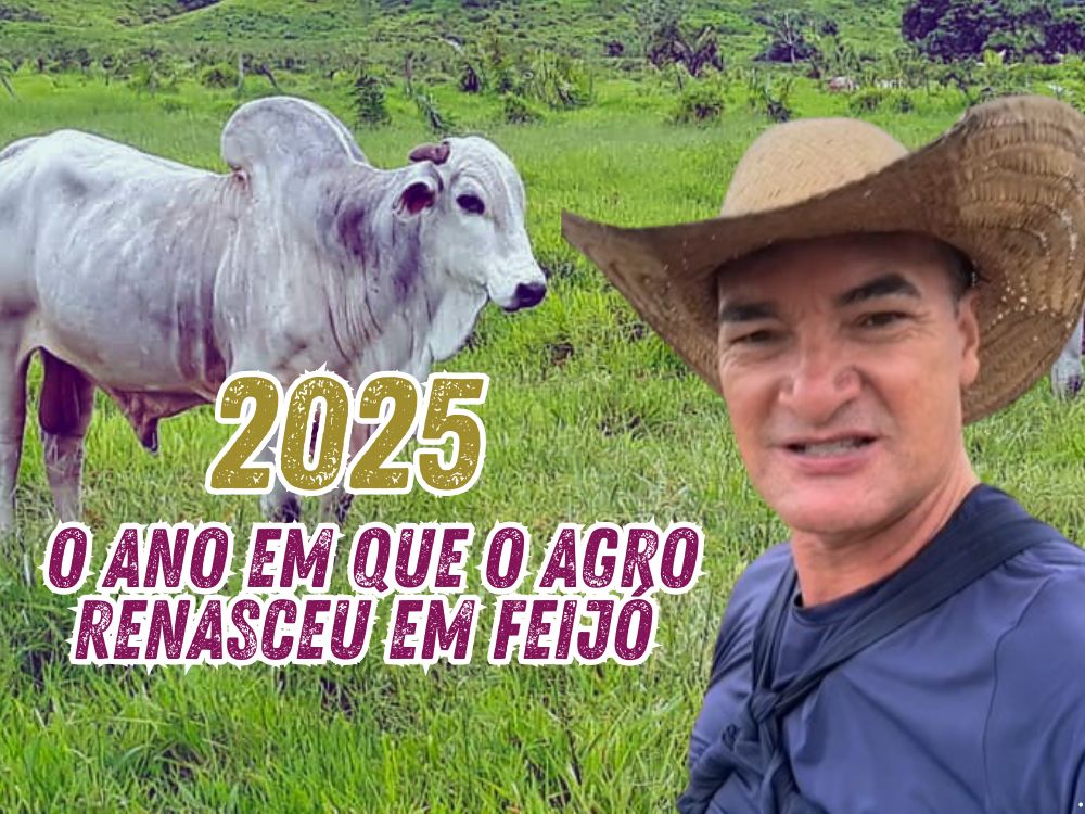 Balanço: Pecuaristas de Feijó encerram o ano mais confiantes com melhora nos preços