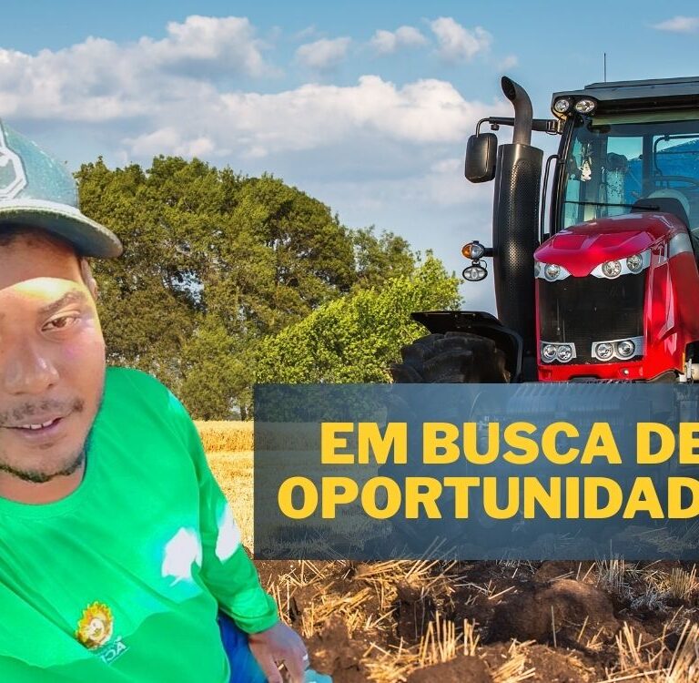 Profissional com experiência em gado e máquinas pesadas procura trabalho