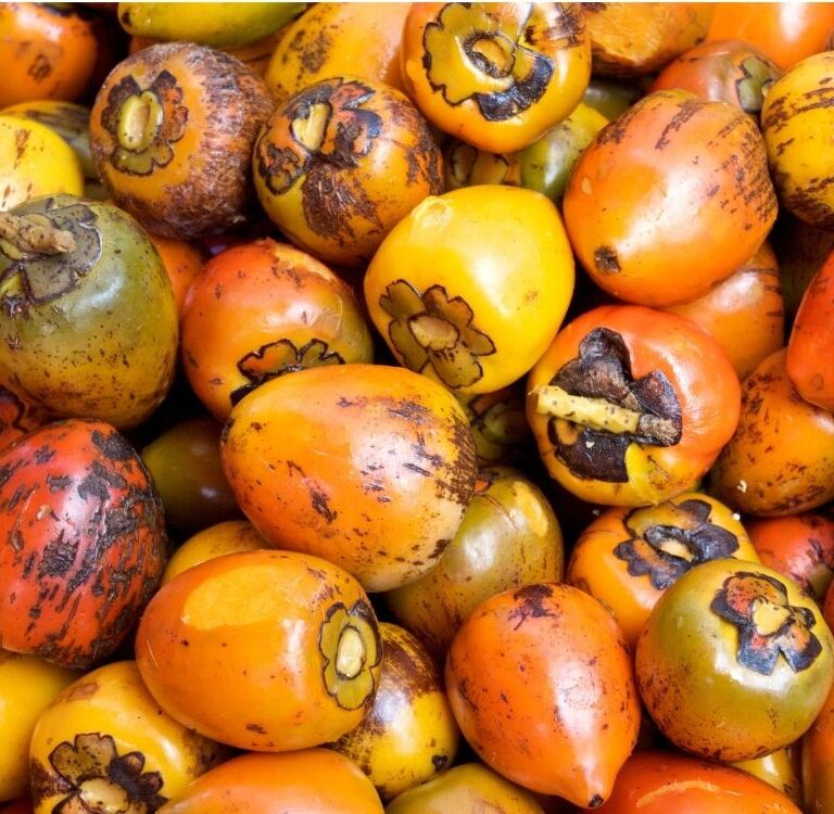 Safra de Pupunha invade ruas e mercados de Rio Branco com preço variando de R$ 20 a R$ 35