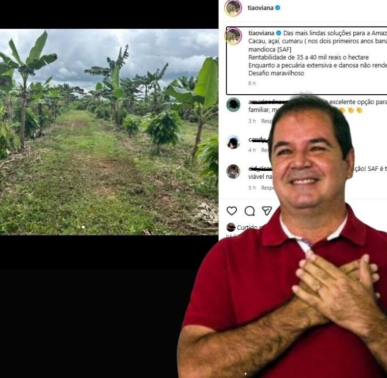 Comparação entre agrofloresta e pecuária feita pelo ex-governador Tião Viana gera controvérsia