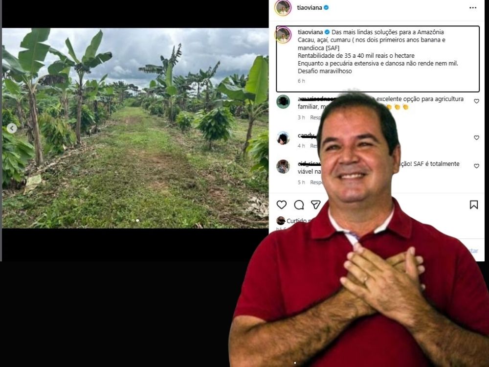 Comparação entre agrofloresta e pecuária feita pelo ex-governador Tião Viana gera controvérsia