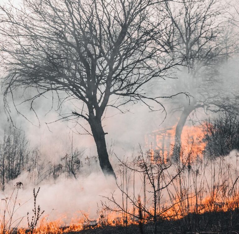 Avança em Brasília projeto que prevê até 10 anos de prisão para crimes ambientais com fogo