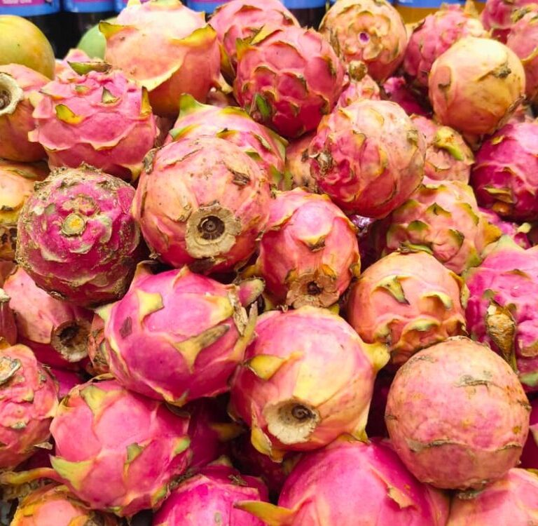 Pitaya em safra chega a R$ 15 o quilo em Rio Branco anima consumidores