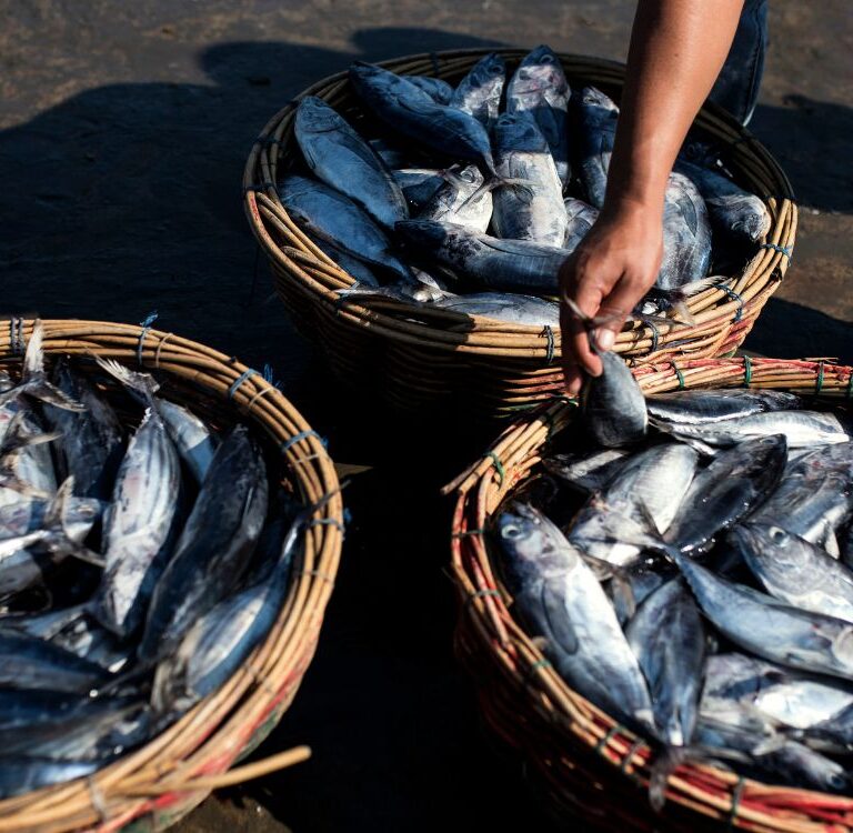 Novo plano nacional quer transformar pesca esportiva em vetor de desenvolvimento