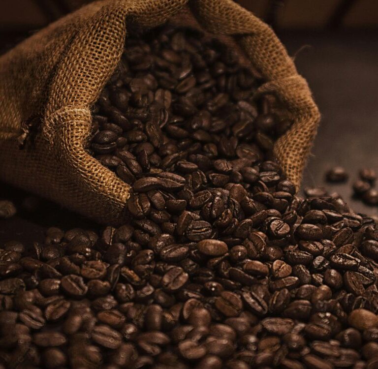 Projeção da CONAB: Brasil deve colher safra recorde de café em 2026