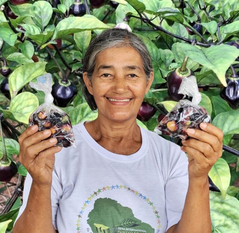 Rara e aromática: Produtora aposta na pimentinha roxa e conquista consumidores na capital