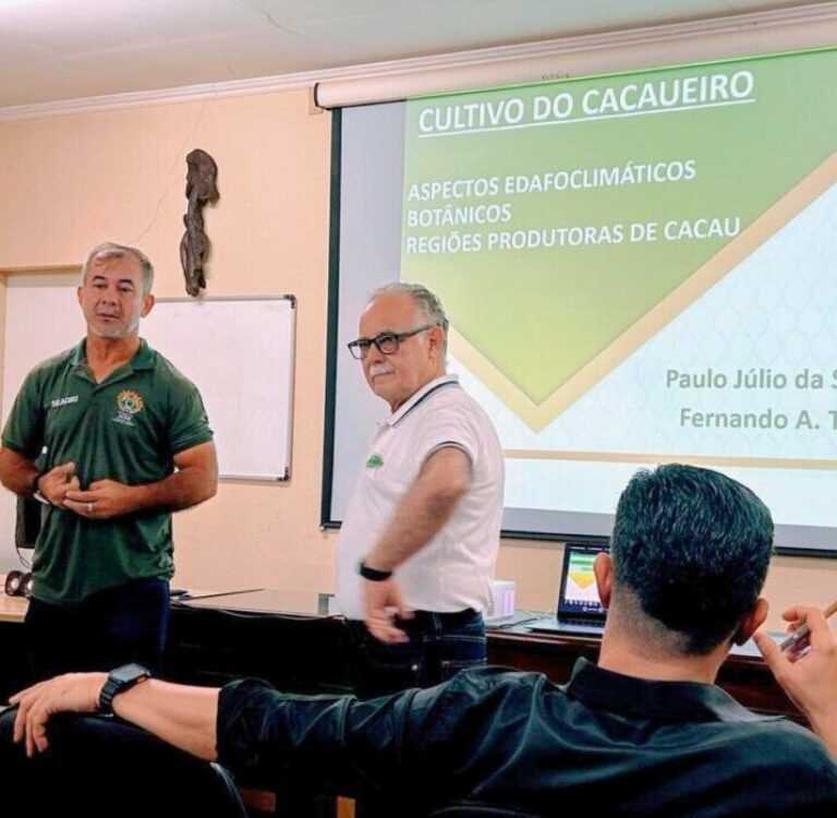 Técnicos do Acre participam de capacitação no Pará sobre produção e qualidade do cacau