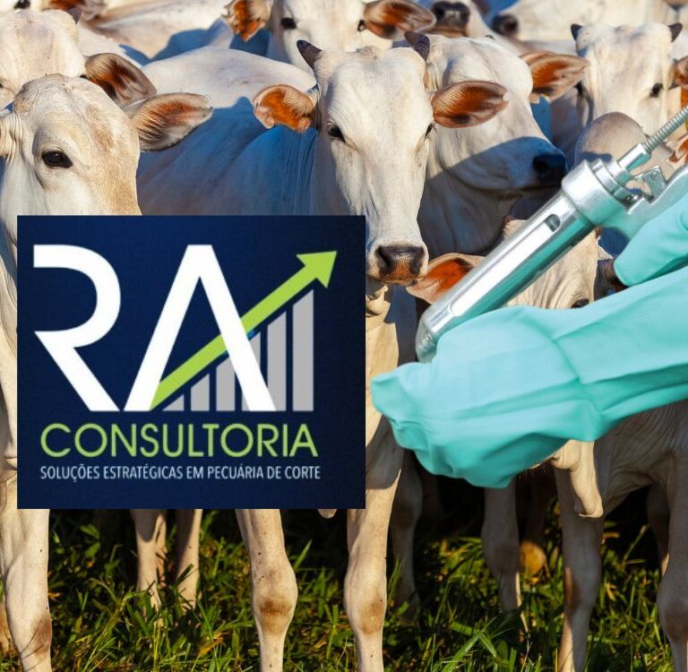 Oportunidade: Empresa de consultoria busca veterinário com foco em reprodução bovina