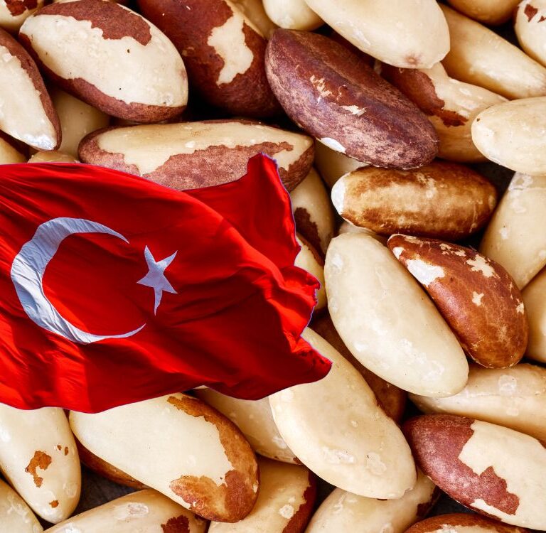 Mercado aberto: Brasil amplia comércio exterior e libera venda de castanha para a Turquia