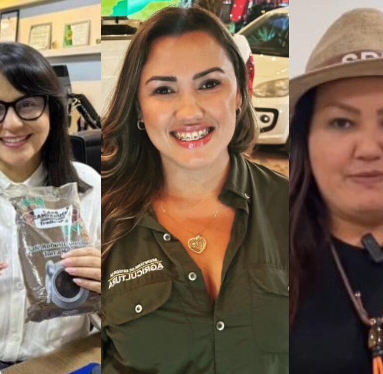Representatividade: mulheres ainda são minoria nas secretarias de agricultura do Brasil