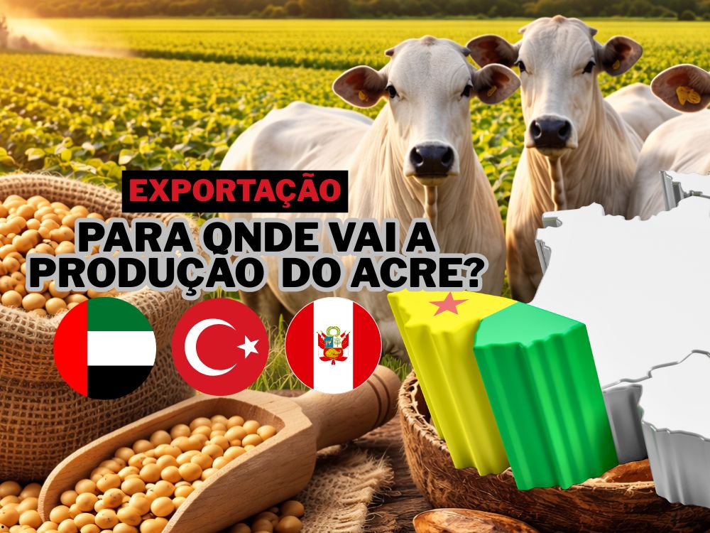 Exportações do Acre têm Peru, Emirados Árabes e Turquia como principais destinos