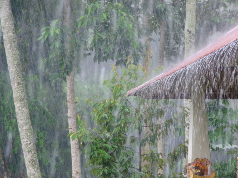Janeiro fecha com volumes históricos de chuva no Acre: Rio Branco ficou acima da média