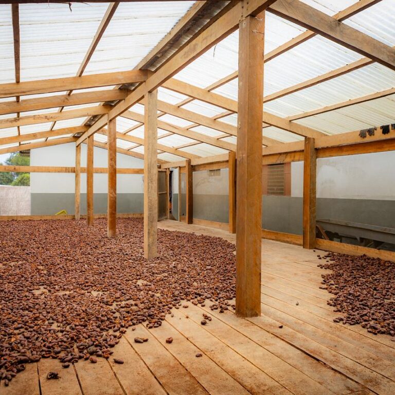 Coopfrutos recebe reforma e ampliação para fortalecer produção sustentável em Mâncio Lima