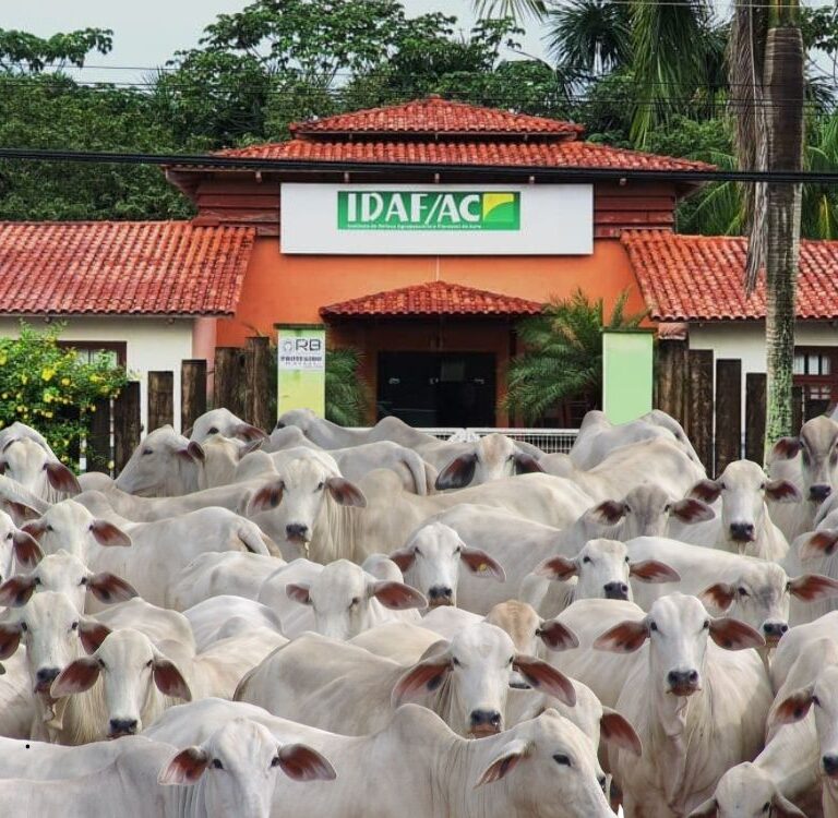 Inquérito do Ministério Público analisa falhas no sistema de dados agropecuários do IDAF