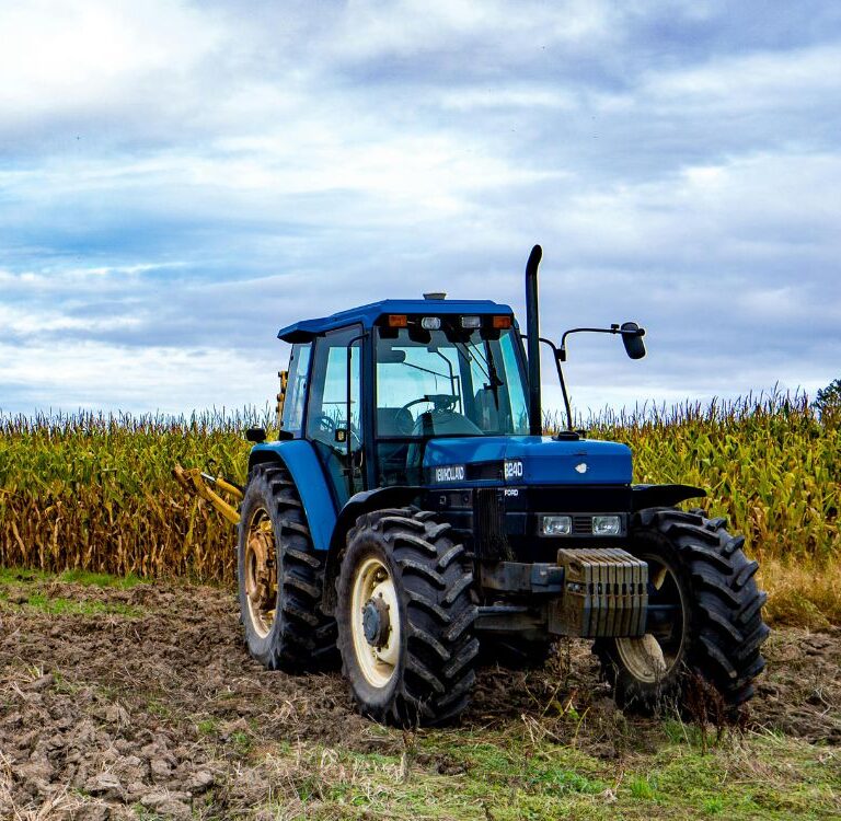 PIB da agropecuária cresce 11,7% e impulsiona resultado da economia em 2025