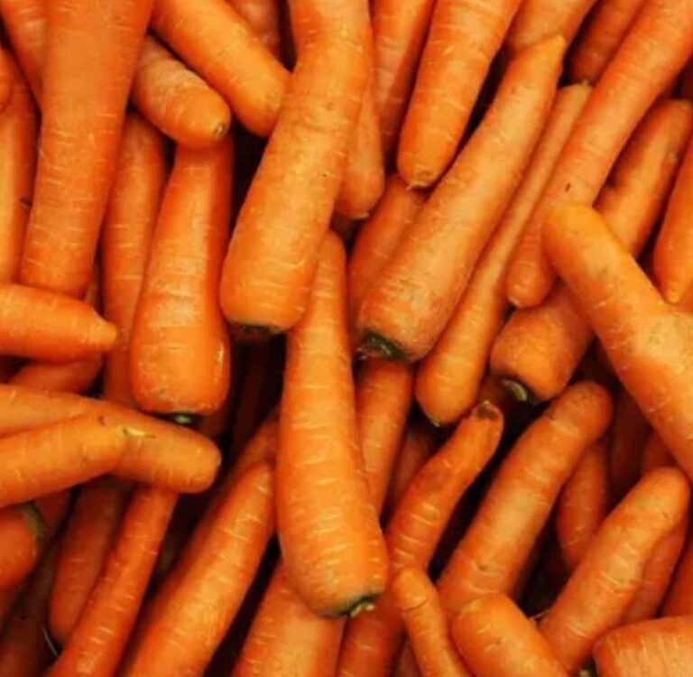 Cenoura fica mais cara nas centrais de abastecimento; Rio Branco lidera aumento