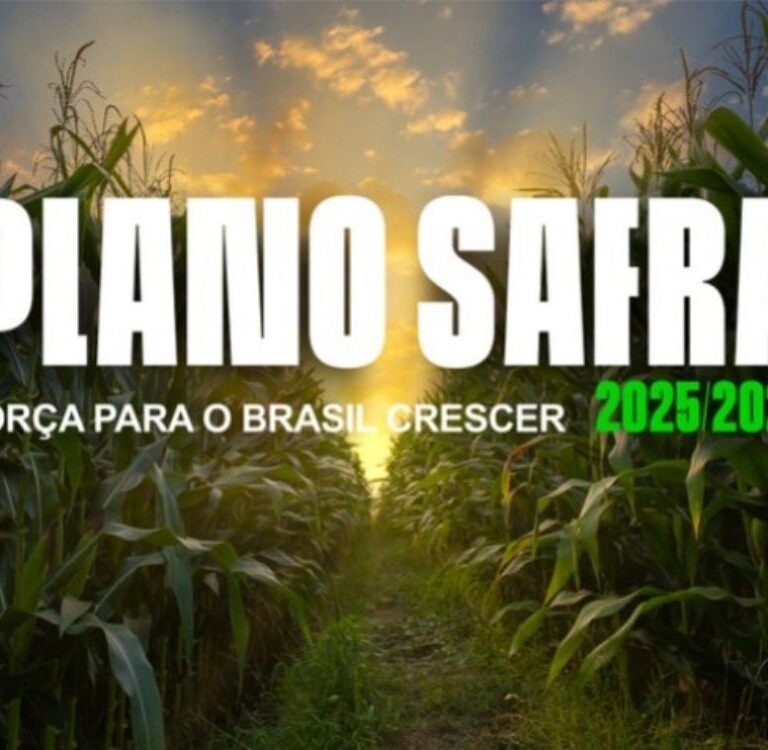 Crédito Rural enfrenta entraves técnicos e maior seletividade