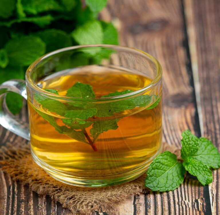 Nova lei em Rio Branco incentiva uso seguro de plantas medicinais e saberes tradicionais