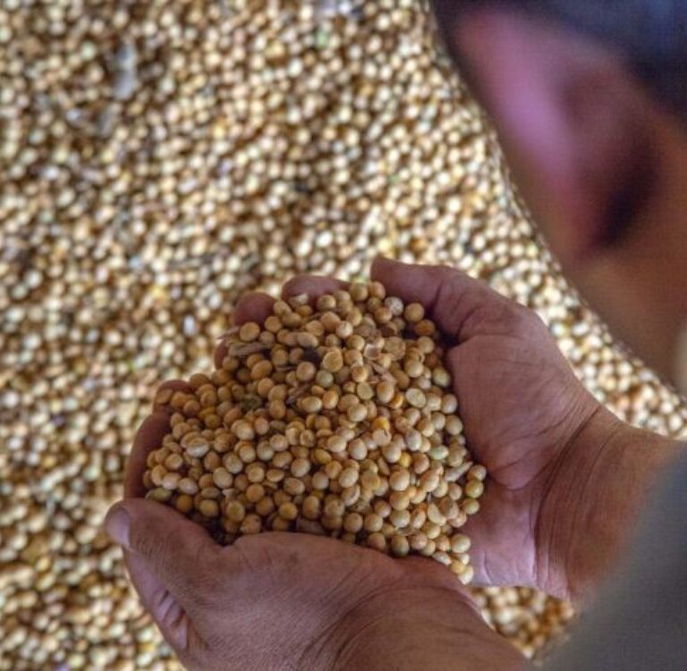 Audiência pública vai debater impacto de novas regras sobre agrotóxicos e grãos