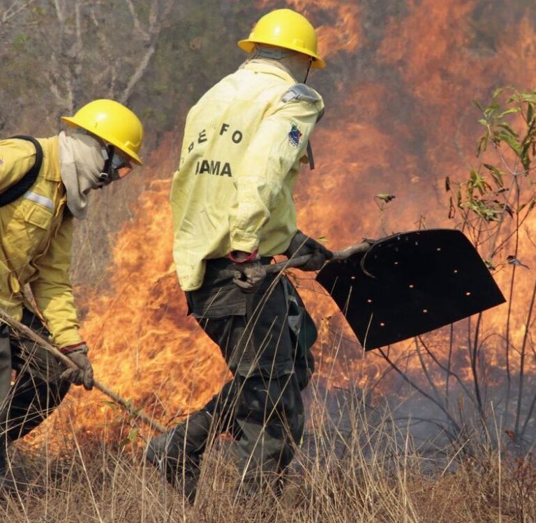 Ibama autoriza brigadas federais para combater incêndios em quatro cidades do Acre