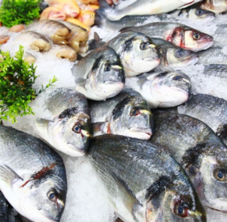 Nota Fiscal passa a ser documento oficial de comprovação de origem do pescado