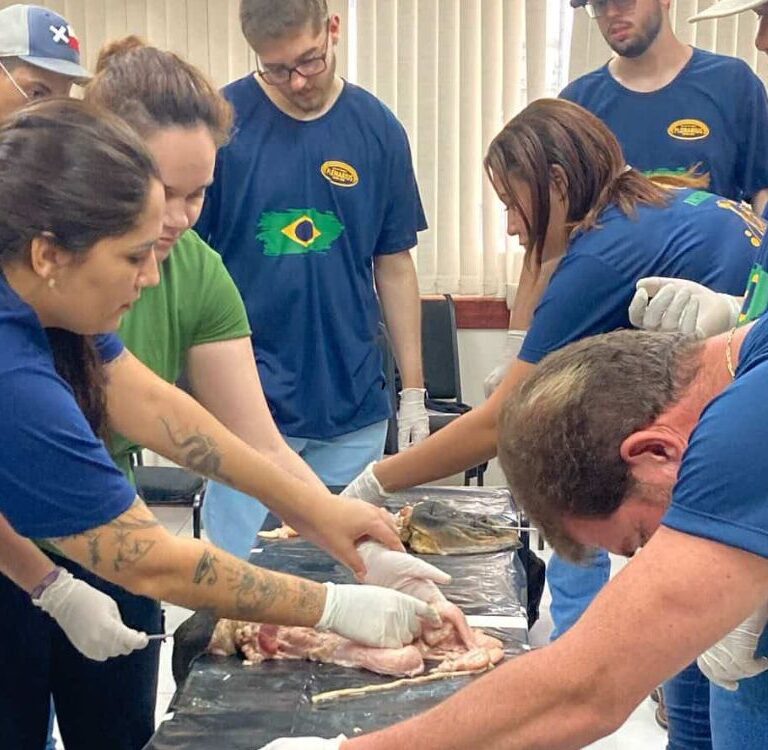 Em Rio Branco, escola abre vagas para curso imersivo de inseminação artificial em bovinos