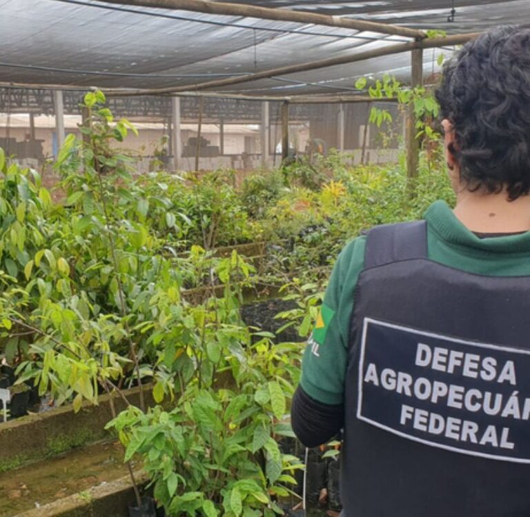 Profissionais da vigilância agropecuária em áreas de fronteira passam a receber adicional ampliado