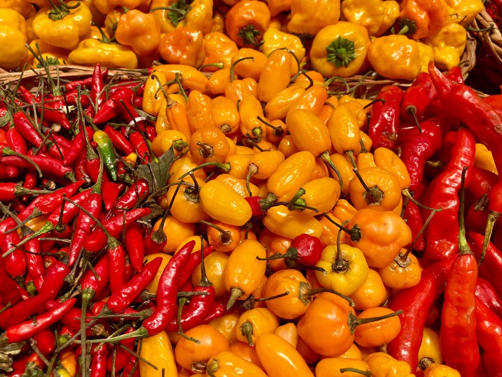 Governo do Brasil libera exportação de pimentas ao Peru: Medida deve fortalecer mercado do Acre