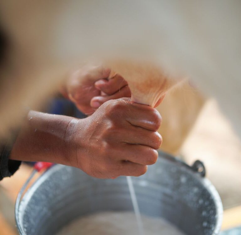 Circuito Country de Epitaciolândia: Torneio de ordenha prevê doação de leite à comunidade