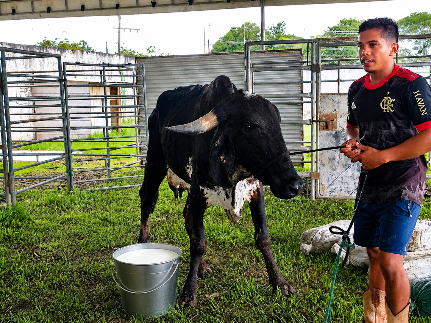 Colônia São Martins vence o 1° Torneio Leiteiro do Circuito Country de Epitaciolândia