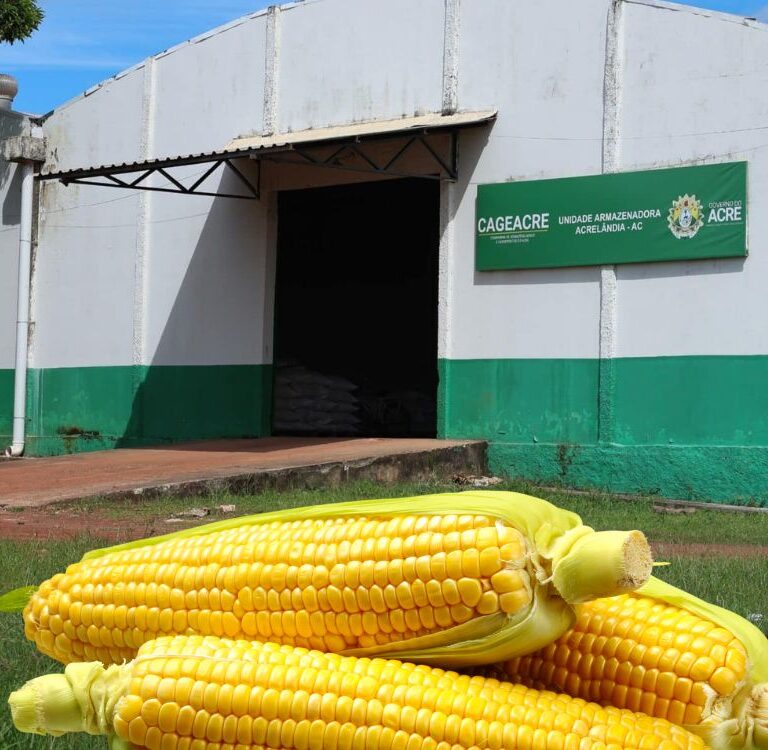 Safra recorde impulsiona armazéns da Cageacre em Plácido de Castro e Acrelândia