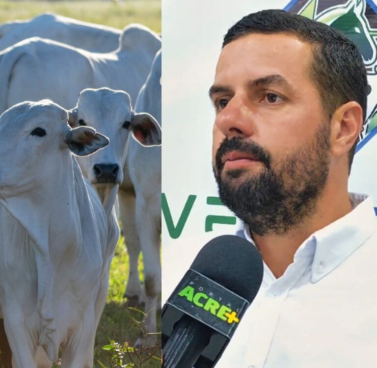 Veterinário destaca técnicas modernas que revolucionam a genética bovina acreana