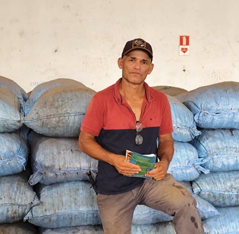Safra forte impulsiona preço e lata da castanha chega a R$ 63 na fronteira acreana