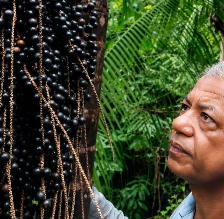 Ex-secretário de Agricultura comemora primeira colheita de açaí precatoria em lavoura