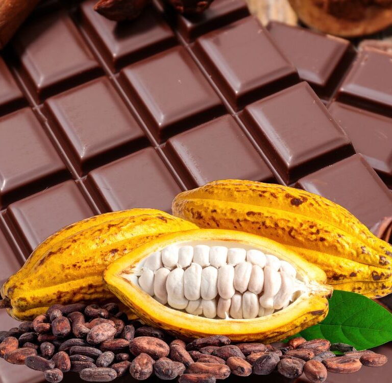 Brasil terá novas regras para identificar chocolates e produtos sabor chocolate