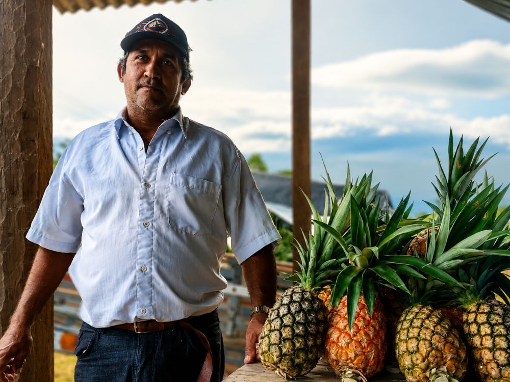 Agricultor acreano investe em abacaxi e supera desafios no mercado rural de Capixaba