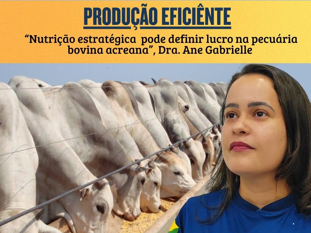 “Nutrição estratégica pode definir lucro na pecuária mesmo na estiagem”, alerta veterinária