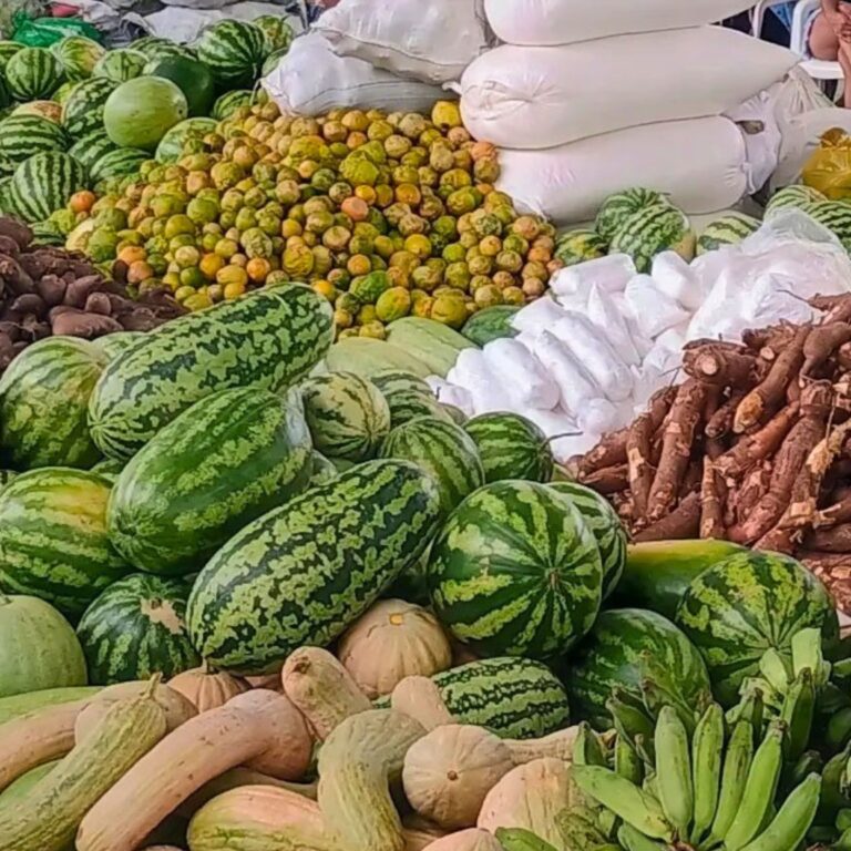 Com chamada pública, agricultores familiares terão espaço garantido na merenda escolar de Epitaciolândia