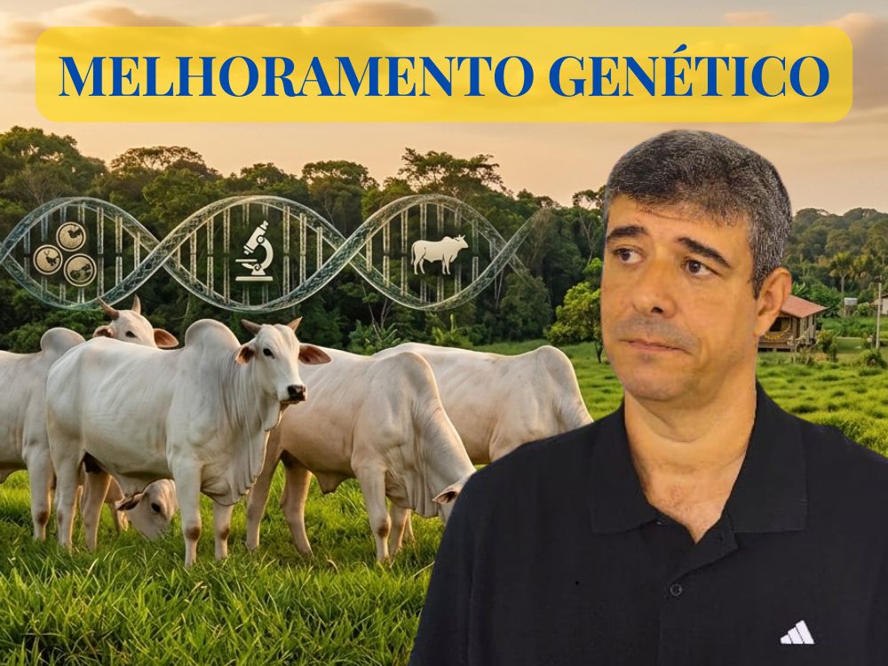Projeto da Ufac leva genética de alta qualidade a pequenos produtores de leite e abre nova perspectiva no setor