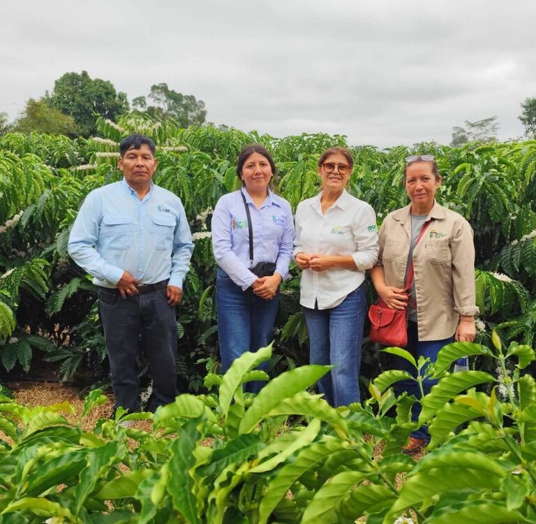 Tecnologias usadas no café acreano atraem especialistas bolivianos de Santa Cruz de La Sierra
