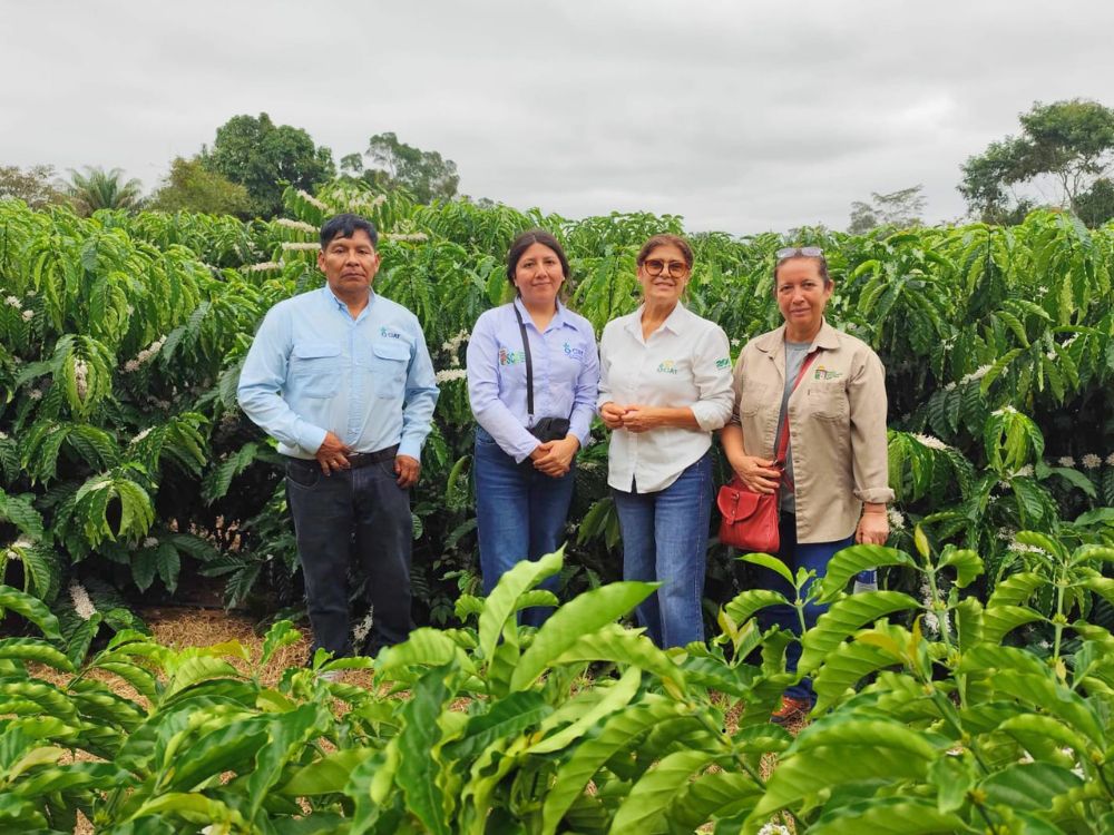 Tecnologias usadas no café acreano atraem especialistas bolivianos de Santa Cruz de La Sierra