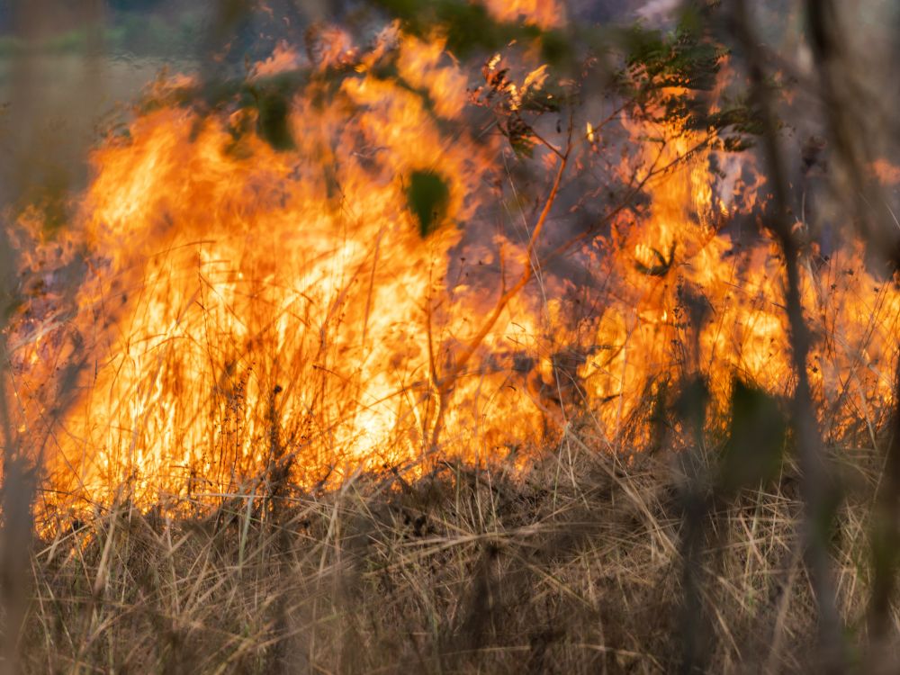 Feijó entra na mira de ação do MPAC para prevenir incêndios e desmatamento