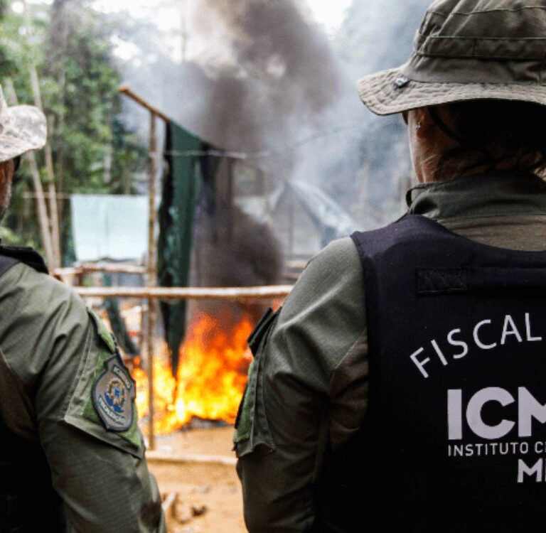 Portaria autoriza emprego da Força Nacional em apoio ao ICMBio, por 90 dias, na Amazônia