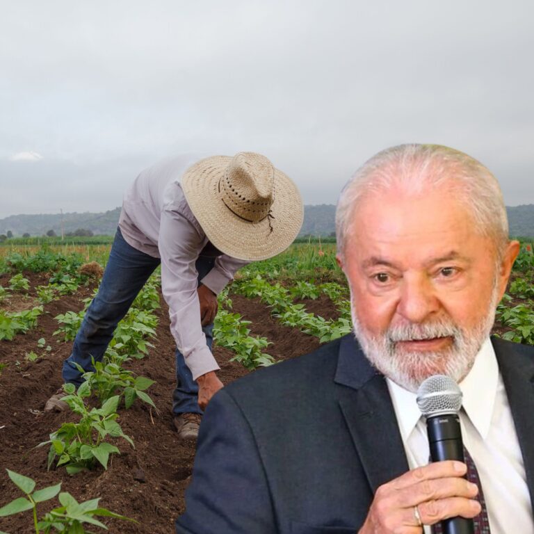 Lula veta projeto que permitiria a safristas manter Bolsa Família durante contratos temporários