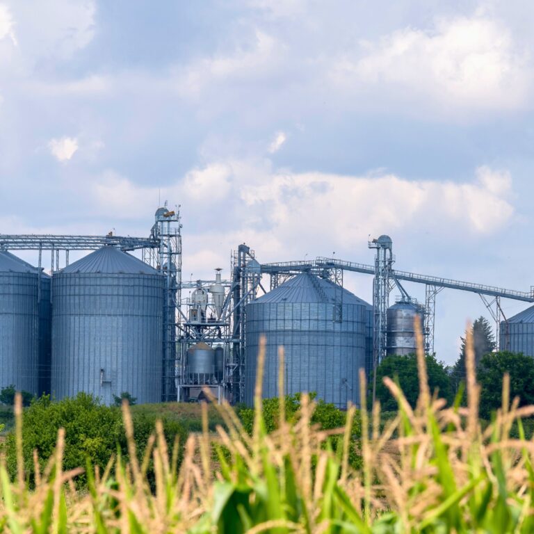 Nova lei reduz burocracia para armazéns no país e pode impulsionar o agronegócio no Acre